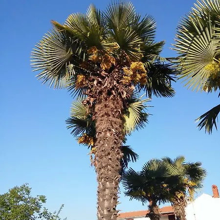 Apartament Fonte Funtana